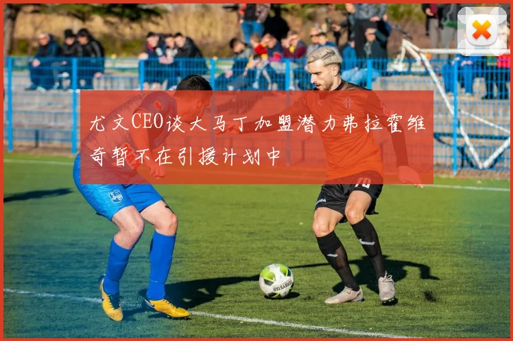 尤文CEO谈大马丁加盟潜力弗拉霍维奇暂不在引援计划中