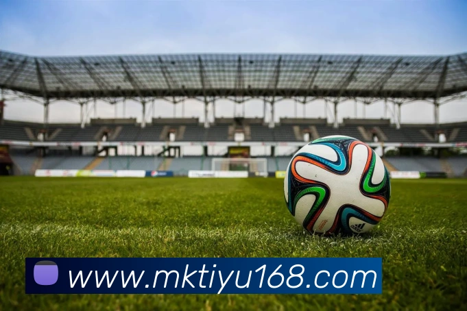 MK体育平台生态图