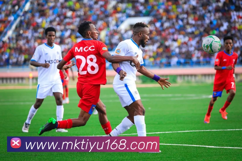 MK体育APP 封面图