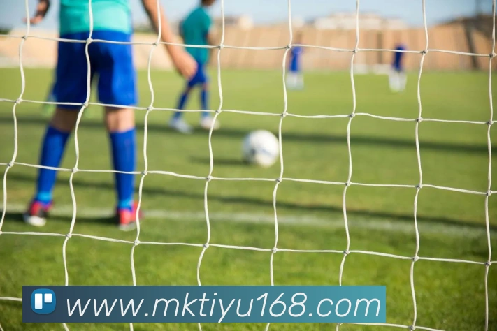 数据防护可视化